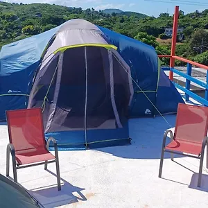 house-rooster-run-and-camping.top-hotels-puertorico.com/